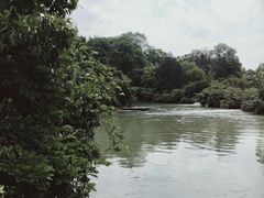 -花溪公园