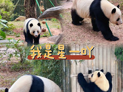-广州动物园