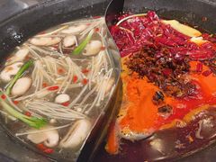 -朱光玉火锅馆(正弘城店)