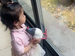 -云龙山庄