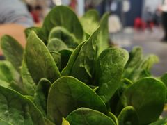 -左庭右院鲜牛肉火锅(苏州园区永旺店)