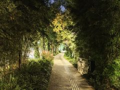 -成都市活水公园