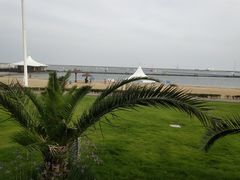 -碧海金沙