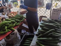 -金宝生活市场(东五环店)