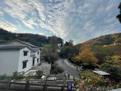 -简象咖啡CAFE ELE JANE(满陇桂雨店)