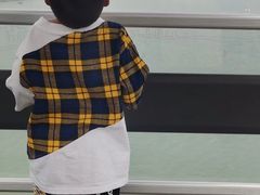 -琴岛之星摩天轮
