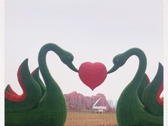 -西海岸生态观光园