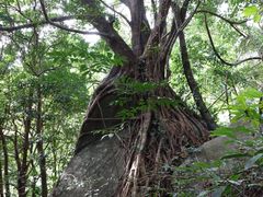 景点-七仙岭温泉国家森林公园