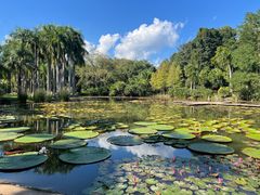 -中国科学院西双版纳热带植物园