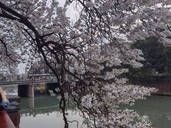 -红星桥(地铁站)