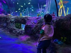 -沈阳海洋探索中心