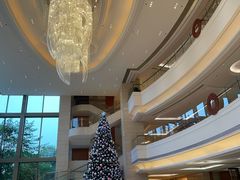 -上海新发展亚太JW万豪酒店