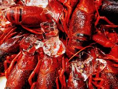 -香满锅老北京羊蝎子火锅·家常菜(新街口店)