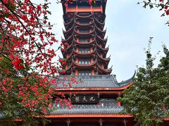 -塔子山公园