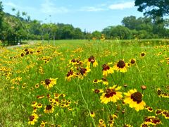 -福建鲤鱼洲酒店
