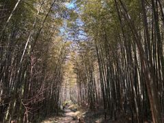 -南山风景名胜区