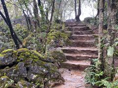 -普者黑风景区-青龙山