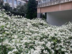 -四川大学(望江校区)