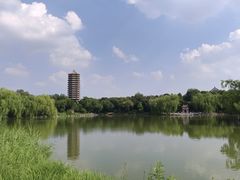 -北京大学赛克勒考古与艺术博物馆