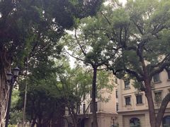 -星巴克臻选(广州沙面店)