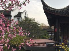 -荆川公园