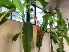-单家老院·院子里的青岛菜(沙子口店)