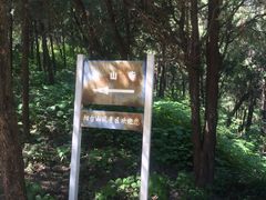 -阳台山自然风景区