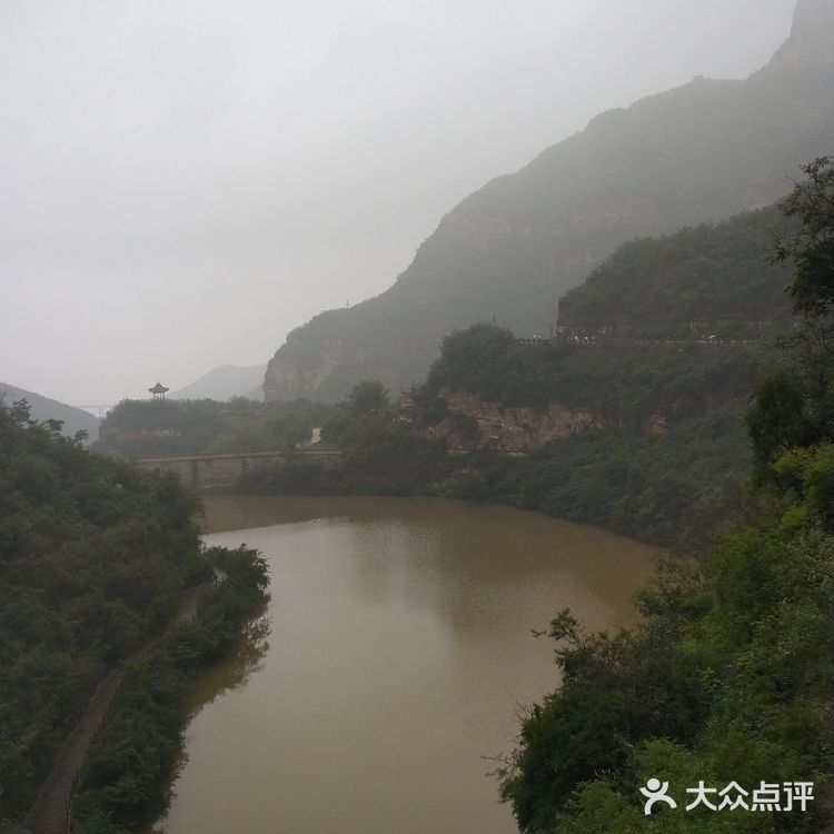 五龙口的猴子太可爱了