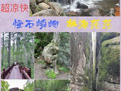 -汤旺河林海奇石景区