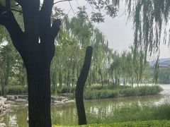 -晋祠公园