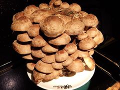 -捞王锅物料理(凯旋路店)