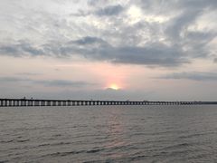 -宝安西湾红树林湿地公园