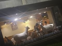 -六合顺