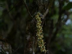 -汉艺唐风茶艺培训(联发华美空间店)