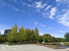 -大望京公园
