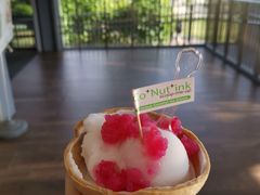 -Co+Nut+Ink(圣淘沙店)