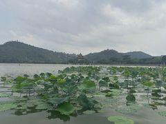 -顺峰山公园