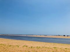 -日照海滨国家森林公园