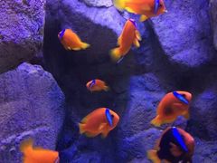 -成都浩海立方海洋公园