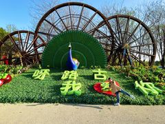 -呀路古热带植物园