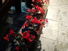 -尽善百年古院餐厅(王家老宅店)