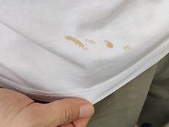 -风波庄(罍街分舵)