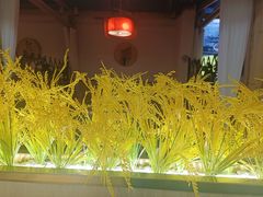 -湘小妹湖南土菜(南新路店)