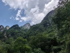 -青峰峡国家森林公园