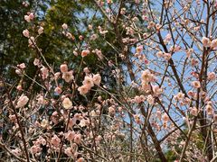 -桃花涧