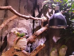 -正佳雨林生态植物园