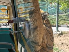 -栾川竹海野生动物园