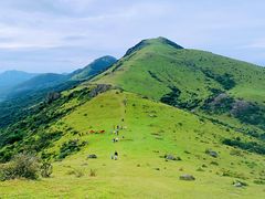 -大姆山草场