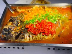 精选鲜活鮰鱼-鱼酷活鱼烤鱼(昆明路店)