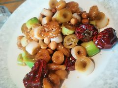 -食鸡公社辣子鸡·潍坊菜·烧烤